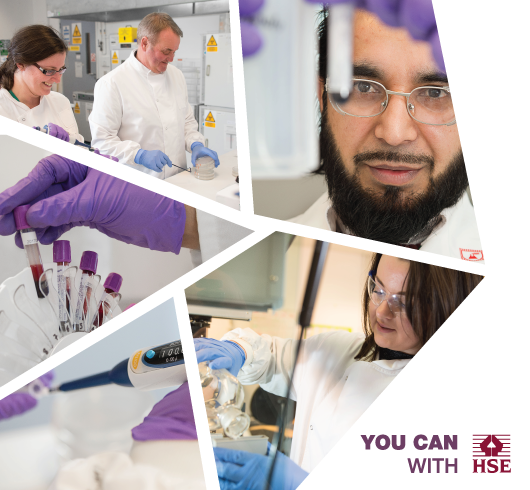 image of health professionals at work
